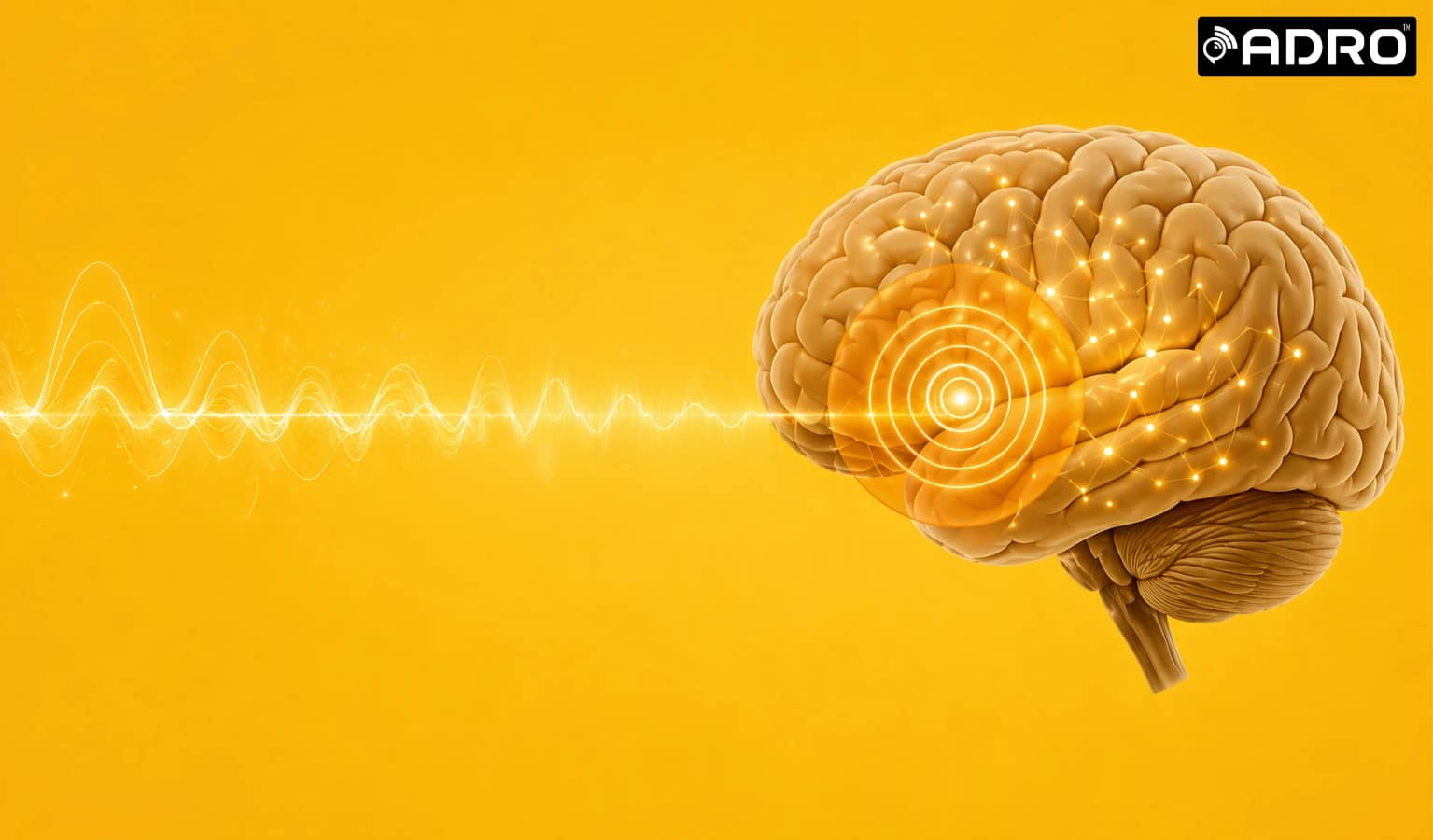 77 Hearing Aid Saves Your Cognitive Overload In Hearing